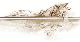 Vodene životinje preživljavaju u "toplijoj" vodi ispod površine leda čak i kad je hladno