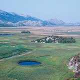 Kršno polje
