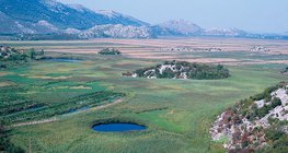 Kršno polje