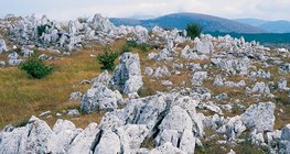Krški krajolik