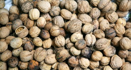 Orasi