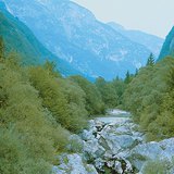 Riječna dolina u platou Karst