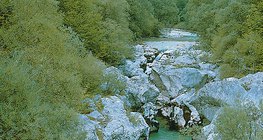 Riječna dolina u platou Karst