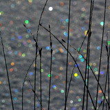 Bokeh