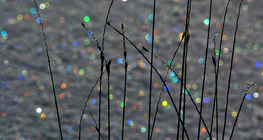 Bokeh