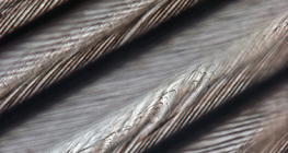 Fina struktura ptičjeg pera sa vidljivim resicama koje drže isperke zajedno