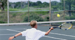 Tenis