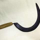 Kosica