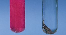 Reakcija kalcija i bakra s vodom