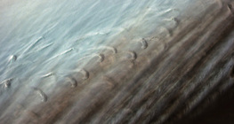 Fina struktura ptičjeg pera sa vidljivim resicama koje drže isperke zajedno