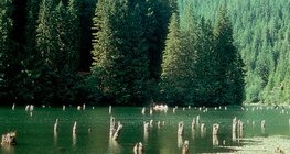 Crveno jezero (Rumunjska)