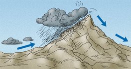 Vjetrovitijim stranama planina vlada vlažnija klima