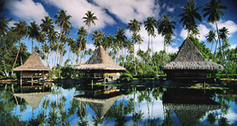 Raj za turiste na otoku Moorea