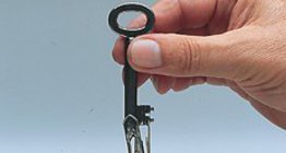 Željezo se može magnetizirati magnetnim poljem magneta.