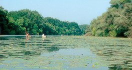 Jedan od rukavaca rijeke Tise