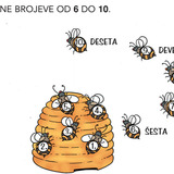 UOČI REDNE BROJEVE.
