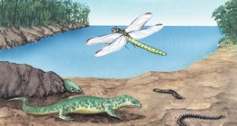 Flora i fauna razdoblju karbona