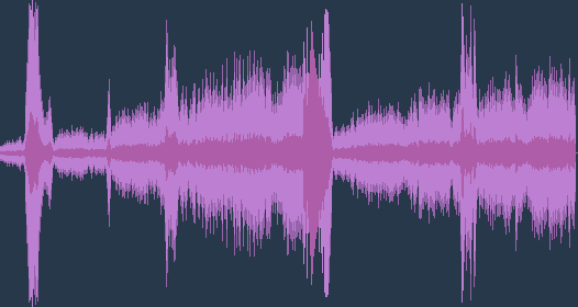 European herring gull