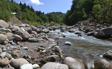 Gornji tok rijeke