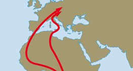 Migracijska ruta lastavica pokućarki