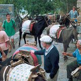 Taksi stajalište na otoku Rodu