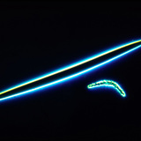 Iglice u kosturu spužve - mikrosklere i megasklere (slatkovodna spužva, Spongilla lacustris)