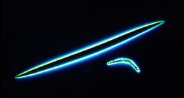 Iglice u kosturu spužve - mikrosklere i megasklere (slatkovodna spužva, Spongilla lacustris)