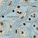 Laza rostos kötőszövet