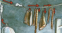 Život miša u špajzi i podrumu