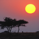 Izlazak Sunca iznad Savane