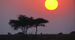 Izlazak Sunca iznad Savane