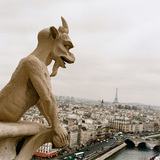 Himera na Notre-Dame de Paris