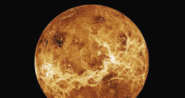 Venera