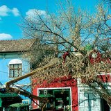 Obrezivanje drveća
