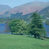 Parkovi se mogu pronaći u deforestiranim područjima u Engleskoj