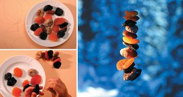 Domaća hrana za ptice