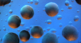 Kolonije bakterije E. coli (obojena pozadina)