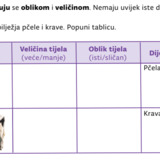 Zadatak - usporedba pčele i krave