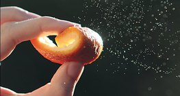 Eterična ulja - narančina kora