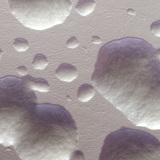 Kolonije bakterije E. coli u izvornoj boji (bijela)