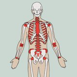 Formacijska mjesta krvnih stanica
