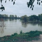 Plima na Dunavu