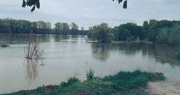Plima na Dunavu