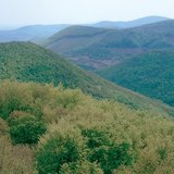 Gromadne planine