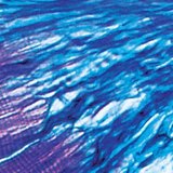 Veza između mišića i tetive