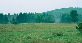 Visoravan Bükk (Mađarska)