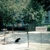 Označeno šetalište za pse