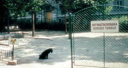 Označeno šetalište za pse