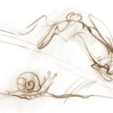 Puž je spor, zec je brz