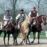 Gauchos, argentinski kauboji